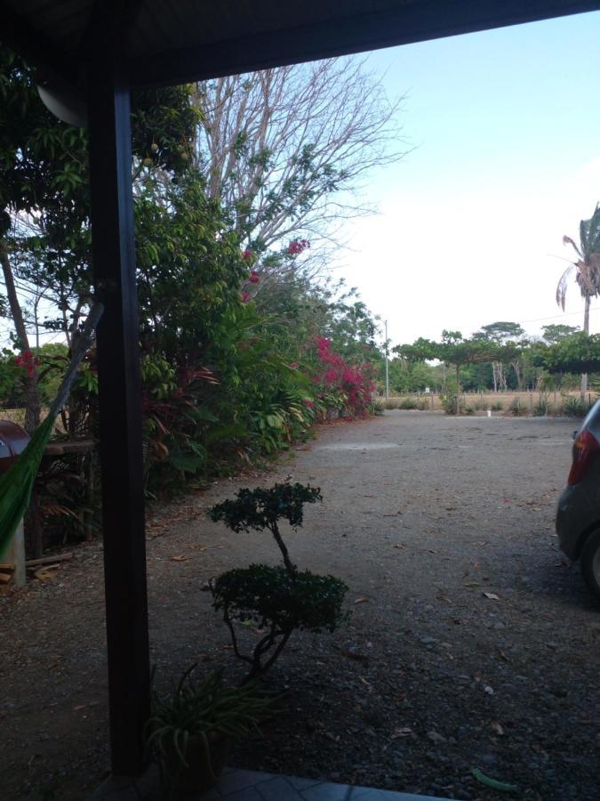 Cabanas Martina Surf Playa Guanico Pedregal Екстериор снимка